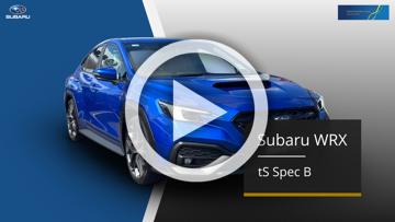 2025 Subaru WRX tS Spec B VB Manual AWD MY25
